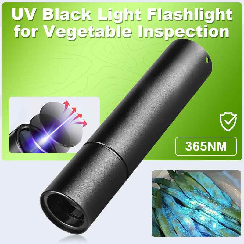 MEGYAD Lot De 8 Lampes De Poche UV Lumière Noire 9 LED - Détecteur Faux Billets & Urine Animaux