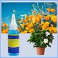 Solution nutritive universelle pour plantes en pot fleuries