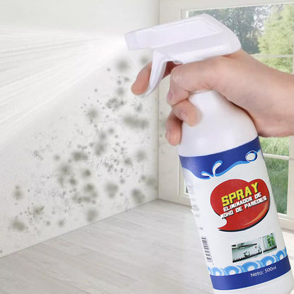 Spray anti-moisissures pour murs