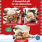 Jouet Nouveau Cadeau de Noël 🐂🎁 Peluche Mignonne de Vache des Highlands en Dessin Animé