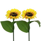 Lampes solaires à LED pour jardin en forme de tournesol🌻