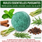 🥳SOLDES 2026🥳💞Plus de 50 000 exemplaires vendus !🏠🛡️ 50 % DE RÉDUCTION ! Répulsif universel – Sans danger pour les animaux de compagnie et la faune sauvage. Sans poison, mais efficace. À utiliser à l'intérieur comme à l'extérieur. 🐾✅