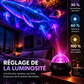 🌌Lampe projecteur dinosaure océanique – Appréciée par plus de 100 000 utilisateurs