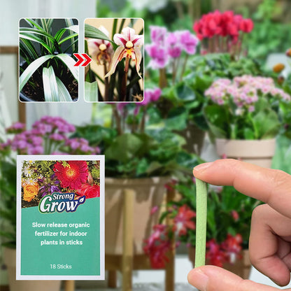 Engrais organique à libération lente en bâton pour plantes d'intérieur