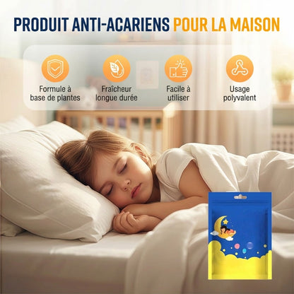 Nettoyeur anti-acariens pour la maison