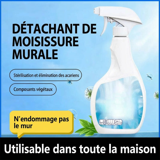 🔥Vente Flash 2025🔥 Spray Anti-Moisissures Hautement Efficace - Empêche la Réapparition