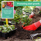 Engrais organique à libération lente en bâton pour plantes d'intérieur