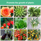 Engrais organique à libération lente en bâton pour plantes d'intérieur