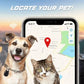 Traceur Sans Fil Bluetooth pour Animaux