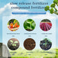 Home Gardening Engrais organique universel en comprimés à libération lente (22 PCS).