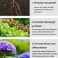 Home Gardening Engrais organique universel en comprimés à libération lente (22 PCS).