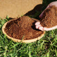 Vente à chaud ⏳Fibre de noix de coco biologique Terreau nutritif pour plantes
