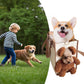 Sac de transport portable et mignon pour animaux de compagnie