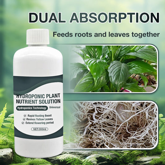 Solution nutritive pour plantes hydroponiques