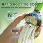 Solution nutritive pour plantes hydroponiques