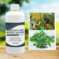 Solution nutritive pour plantes hydroponiques