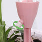 🔥 50% DE RÉDUCTION ! ✨Pique d'arrosage automatique réglable pour plantes