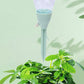 🔥 50% DE RÉDUCTION ! ✨Pique d'arrosage automatique réglable pour plantes