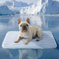 ❄️[Soldes d'été] Tapis rafraîchissant en soie glacée pour animaux – Coussin rafraîchissant d'été pour chiens et chats, respirant et lavable, pour une utilisation intérieure et extérieure, léger et idéal pour les cages et les canapés