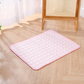 Tapis rafraîchissant d'été pour animaux de compagnie – Lit en soie glacée respirante