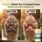 🎁 Un acheté, un offert ! 🐶 Crème hydratante pour les pattes de votre animal — un soin pratique pour rendre les pattes de votre compagnon douces et lisses