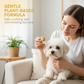 🐶💧Gouttes ophtalmiques douces pour animaux de compagnie