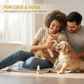 🐶💧Gouttes ophtalmiques douces pour animaux de compagnie