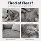 🔥Buy 1 Get 1 Free🔥Fine-Toothed Pet Grooming Comb
