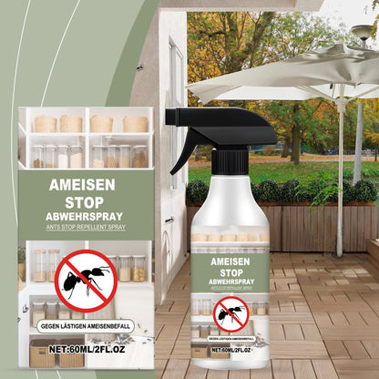 🥳 50% OFF – Spray anti-termites puissant – Action rapide, barrière longue durée