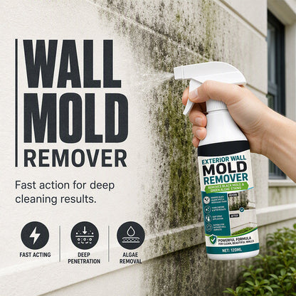 🔥 50% DE RÉDUCTION ! ✨Spray anti-moisissure pour murs à action rapide