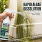 🔥 50% DE RÉDUCTION ! ✨Spray anti-moisissure pour murs à action rapide