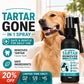 🔥 50% DE RÉDUCTION ! ✨Spray nettoyant dentaire doux pour animaux de compagnie