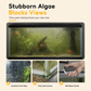 🔥 50% DE RÉDUCTION ! ✨Nettoyeur magnétique double face pour vitres d'aquarium