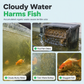 🥳PROMO EXCEPTIONNELLE 2026🥳 💞+50 000 ventes ! 🐠💧 50 % de réduction ! Cube filtrant charbon actif : filtration nid d’abeille clarifie l’eau trouble et supprime les odeurs. Bloc anti-effritement, pour un aquarium à l’eau cristalline !🛡️✅